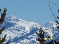000_1337.jpg