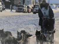 iditarod 056.jpg