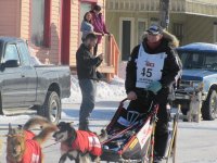 iditarod 062.jpg