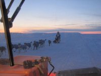 iditarod 068.jpg