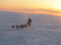 iditarod 074.jpg