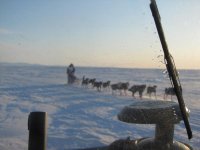 iditarod 082.jpg