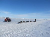 iditarod 089.jpg