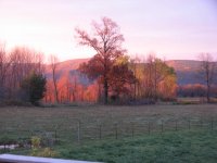 sunrise and cat 004.jpg