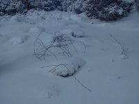 DSCF0011.JPG