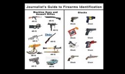 Journalist firearm ID.jpg