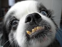 smile.jpg