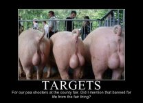 633810978868425505-Targets.jpg