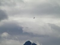 Whistler 002.jpg