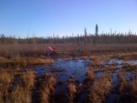 IMG-20131014-00029.jpg