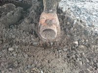 20131026_151701.jpg