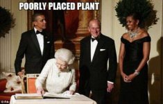 plant.jpg