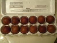 Negro eggs.jpg