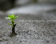 the-winner.jpg