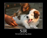 no-touching-the-dog-please.jpg
