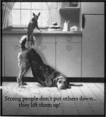 lift up.jpg
