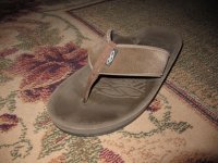 IMG_0729.JPG
