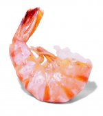 Shrimp-picture.jpg