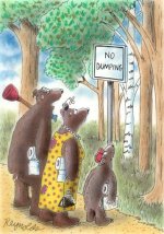 bears in woods.jpg