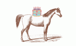 horse birthday.gif