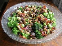 judy's salad.jpg