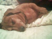 2012-01-21 21-52-08.270.jpg