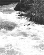 Copy of Fish Creek.jpg