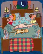 cats bed.jpg