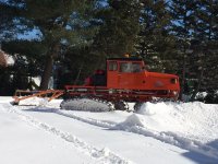 IMG_0866.jpg