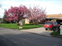 Our_Front_Yard1.jpg Our_Front_Yard1.jpg