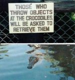 retrieve.jpg