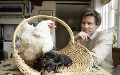 unusual-animal-friendship-5-2.jpg