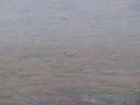 hunt-1 003.jpg