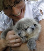 a-cat-with-two-faces-named-frank-and-louie-is-held-by-the-cats-owner-who-identified-herself-only.jpg