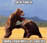 DickPunch.jpg