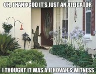 gator.jpg