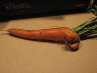 carrot 002.jpg