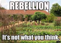 rebellion.jpg