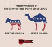 TransformationOfDemocraticParty.jpg