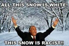 Sharpton snow.jpg