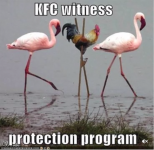 KFC_WitnessProtectionProgram.PNG