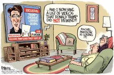 toon maddow.jpg