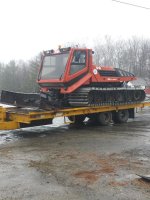 snow cat.jpg