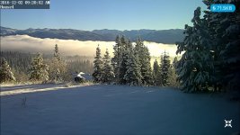 IMG_8865.jpg