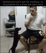 Treat.gif