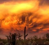 Tucson Sunset 7 19 18.jpg