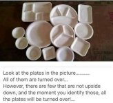 PlatesTurnOver.jpg