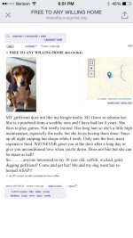 Rehome.jpg