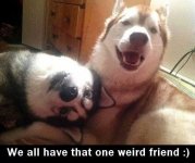 ThatOneWeirdFriend.jpg