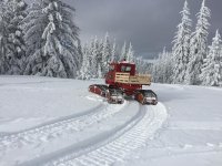 IMG_4895.jpg